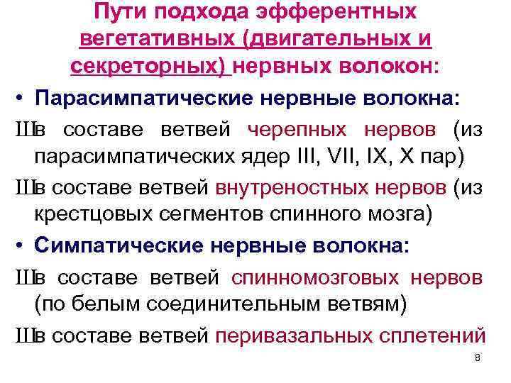 Пути подхода эфферентных вегетативных (двигательных и секреторных) нервных волокон: • Парасимпатические нервные волокна: Шв