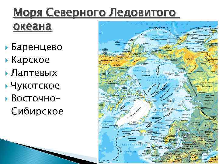 Моря Северного Ледовитого океана Баренцево Карское Лаптевых Чукотское Восточно. Сибирское 