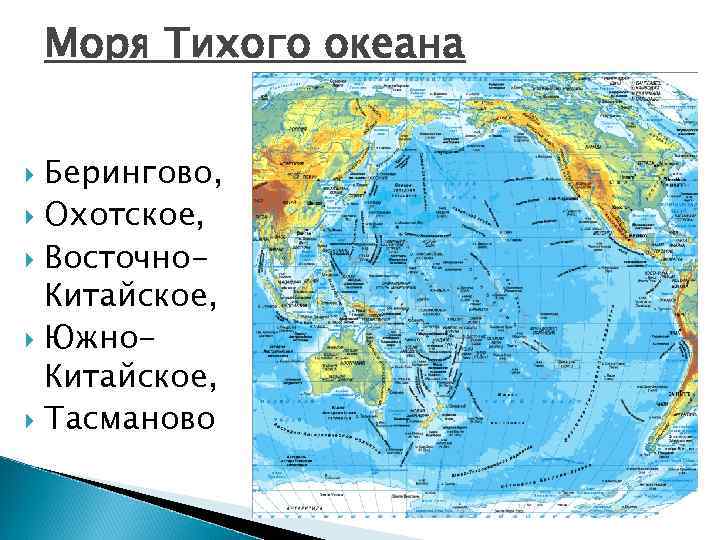 Моря Тихого океана Берингово, Охотское, Восточно. Китайское, Южно. Китайское, Тасманово 