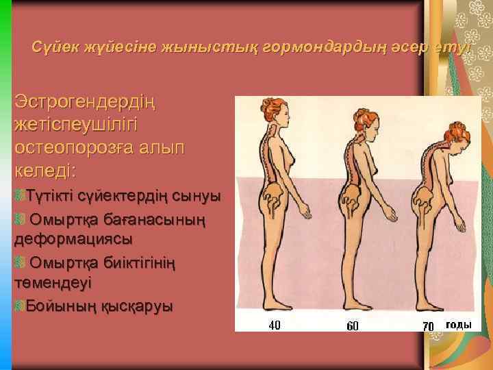 Сүйек жүйесіне жыныстық гормондардың әсер етуі Эстрогендердің жетіспеушілігі остеопорозға алып келеді: Түтікті сүйектердің сынуы