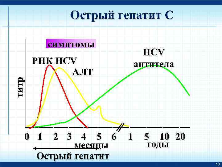 Острый гепатит С титр симптомы HCV антитела РНК HCV A ЛT 0 1 2