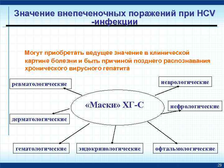 Значение внепеченочных поражений при HCV -инфекции Могут приобретать ведущее значение в клинической картине болезни