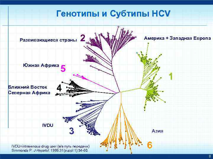 Генотипы и Субтипы HCV Развивающиеся страны Южная Африка Ближний Восток Северная Африка IVDU 2