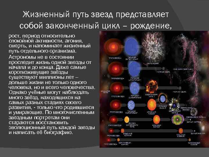 Финал эволюции звезды сканворд 7. Жизненный цикл звезд протозвезда. Эволюция жизненный цикл звезд. Этапы жизненного цикла звезды. Эволюция звёзд рождение жизнь и смерть звёзд.