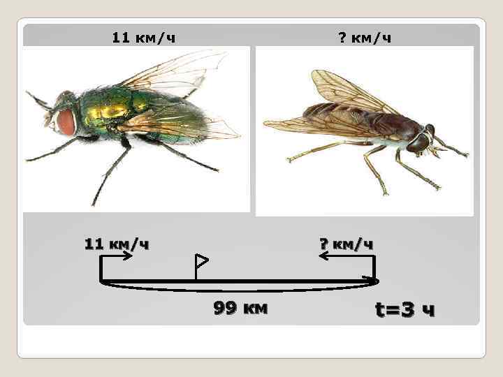 11 км/ч ? км/ч 99 км t =3 ч 