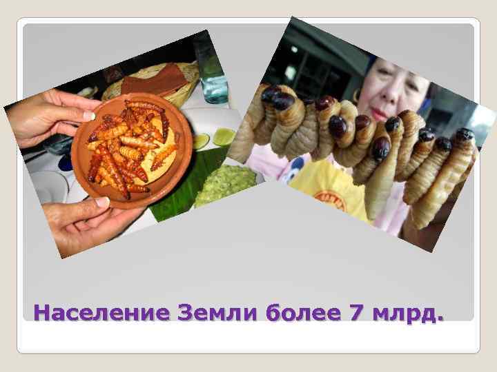 Население Земли более 7 млрд. 