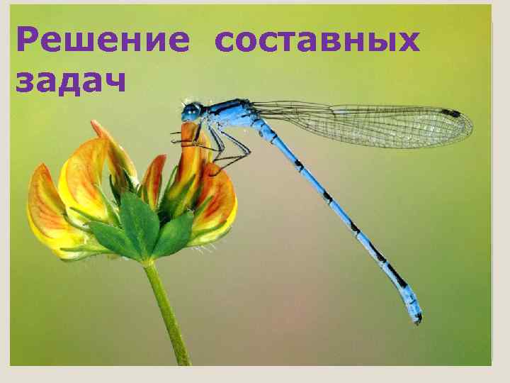 Решение составных задач 