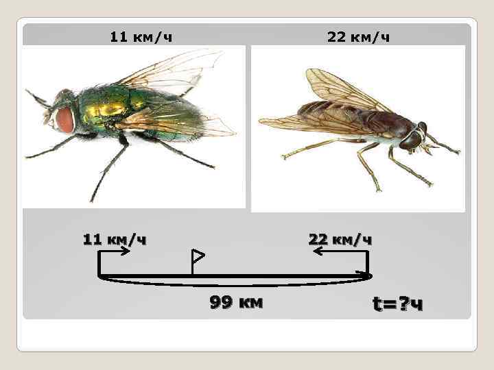 11 км/ч 22 км/ч 99 км t=? ч 