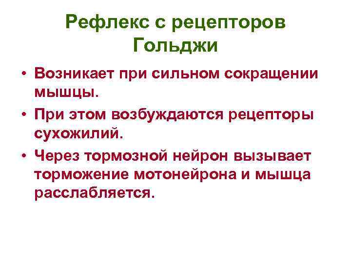 Рефлекс с рецепторов Гольджи • Возникает при сильном сокращении мышцы. • При этом возбуждаются