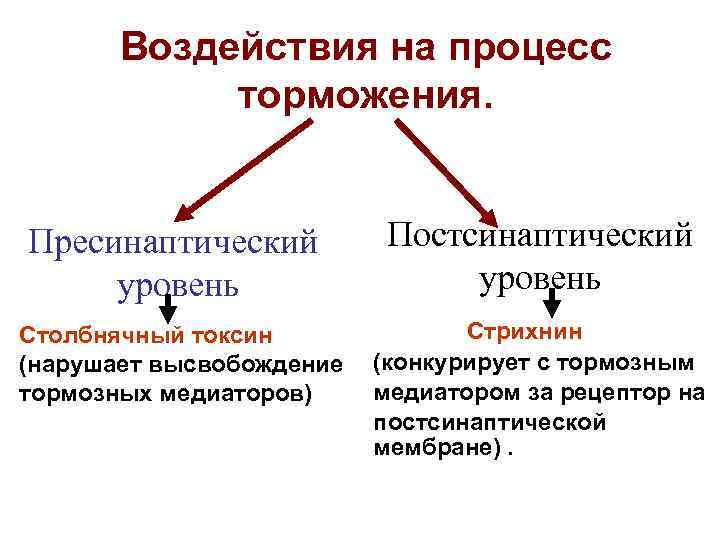 Воздействия на процесс торможения. Пресинаптический уровень Столбнячный токсин (нарушает высвобождение тормозных медиаторов) Постсинаптический уровень