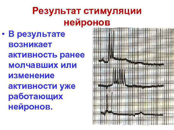 Результат стимуляции нейронов • В результате возникает активность ранее молчавших или изменение активности уже
