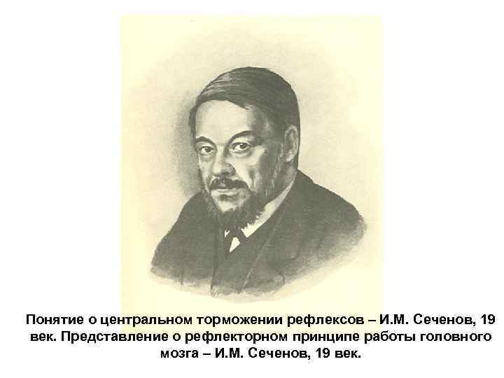 Понятие о центральном торможении рефлексов – И. М. Сеченов, 19 век. Представление о рефлекторном
