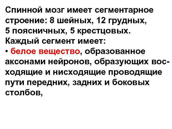 Спинной мозг имеет сегментарное строение: 8 шейных, 12 грудных, 5 поясничных, 5 крестцовых. Каждый