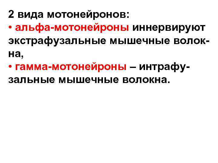 2 вида мотонейронов: • альфа-мотонейроны иннервируют экстрафузальные мышечные волокна, • гамма-мотонейроны – интрафузальные мышечные