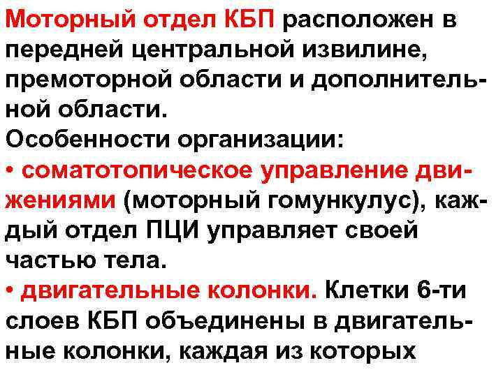 Моторный отдел КБП расположен в передней центральной извилине, премоторной области и дополнительной области. Особенности