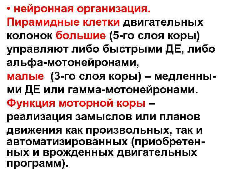  • нейронная организация. Пирамидные клетки двигательных колонок большие (5 -го слоя коры) управляют