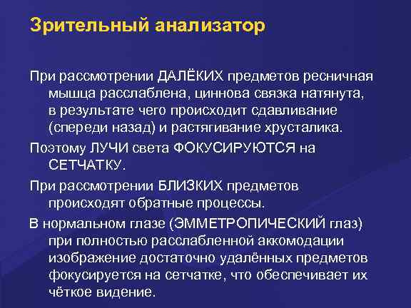 Зрительный анализатор При рассмотрении ДАЛЁКИХ предметов ресничная мышца расслаблена, циннова связка натянута, в результате