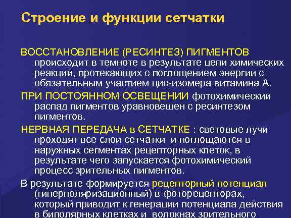Строение и функции сетчатки ВОССТАНОВЛЕНИЕ (РЕСИНТЕЗ) ПИГМЕНТОВ происходит в темноте в результате цепи химических