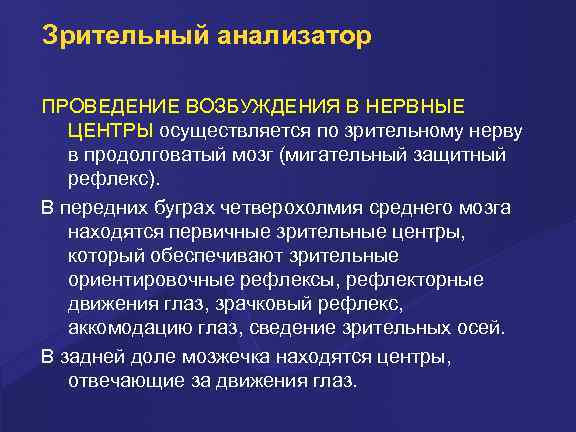 Проводит возбуждение. Проведение возбуждения в зрительном анализаторе. Продолговатый мозг зрительный анализатор. Возбуждение зрительного анализатора. Зрительный анализатор Проводящая возбуждение.