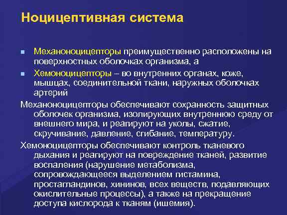 Ноцицептивная система Механоноцицепторы преимущественно расположены на поверхностных оболочках организма, а Хемоноцицепторы – во внутренних
