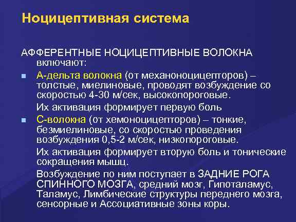 Ноцицептивная система. Ноцицептивная. Ноцицептивная система волокна. Ноцицептивная и антиноцицептивная системы. Ноцицептивная система физиология.