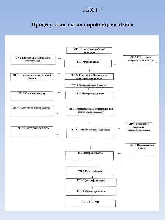 ЛИСТ 7 Процесуальна схема виробництва лізина 