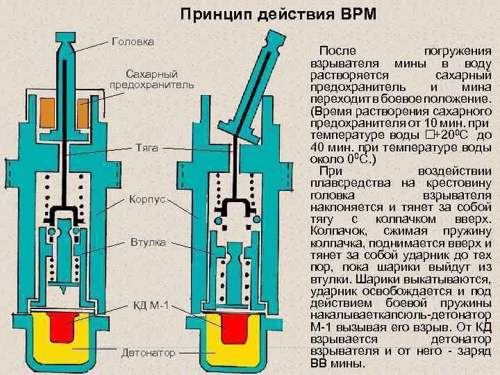 Мина лепесток схема