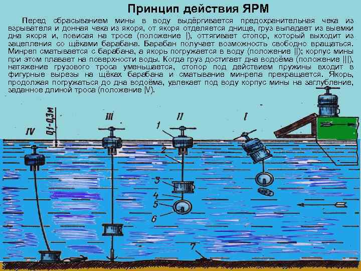 Принцип действия ЯРМ Перед сбрасыванием мины в воду выдёргивается предохранительная чека из взрывателя и