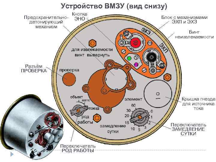 Устройство ВМЗУ (вид снизу) Предохранительнодетонирующий механизм Кнопка ЭНО Блок с механизмами ЭХП и ЭХЗ