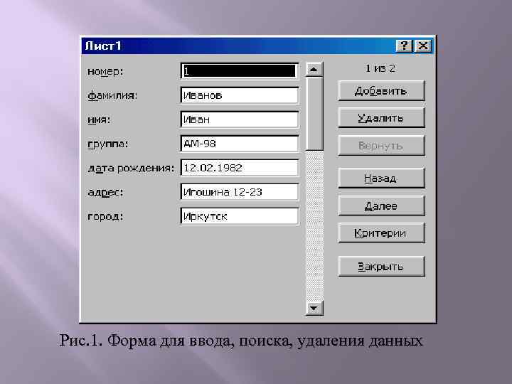 Рис. 1. Форма для ввода, поиска, удаления данных 