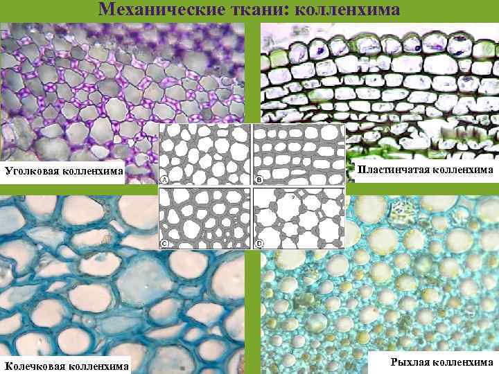 Фото механической ткани