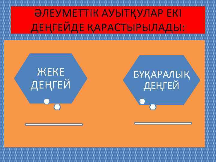 ӘЛЕУМЕТТІК АУЫТҚУЛАР ЕКІ ДЕҢГЕЙДЕ ҚАРАСТЫРЫЛАДЫ: ЖЕКЕ ДЕҢГЕЙ БҰҚАРАЛЫҚ ДЕҢГЕЙ 