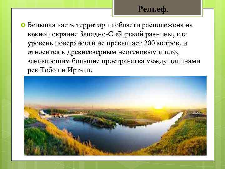 Рельеф. Большая часть территории области расположена на южной окраине Западно-Сибирской равнины, где уровень поверхности