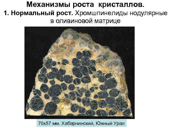 Механизмы роста кристаллов. 1. Нормальный рост. Хромшпинелиды нодулярные в оливиновой матрице 70 х57 мм.