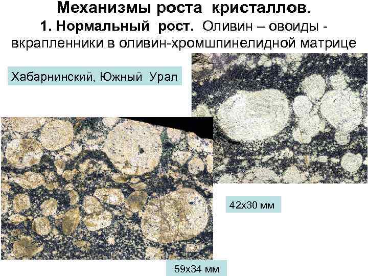 Механизмы роста кристаллов. 1. Нормальный рост. Оливин – овоиды вкрапленники в оливин-хромшпинелидной матрице Хабарнинский,