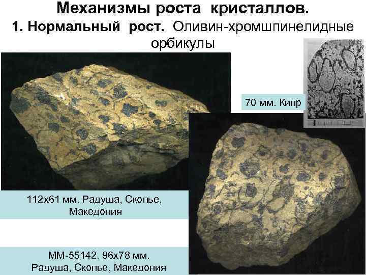 Механизмы роста кристаллов. 1. Нормальный рост. Оливин-хромшпинелидные орбикулы 70 мм. Кипр 112 х61 мм.