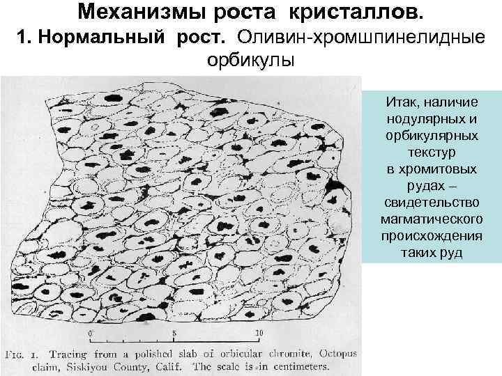 Механизмы роста кристаллов. 1. Нормальный рост. Оливин-хромшпинелидные орбикулы Итак, наличие нодулярных и орбикулярных текстур
