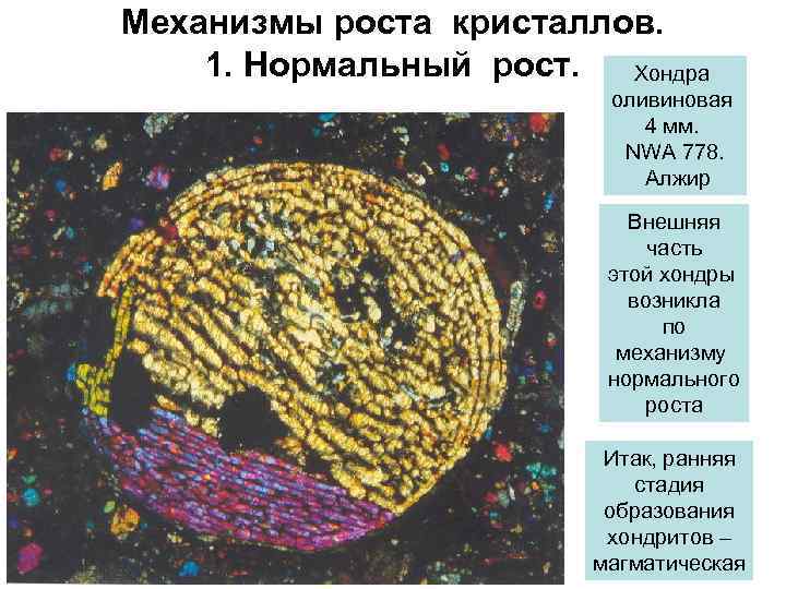 Механизмы роста кристаллов. 1. Нормальный рост. Хондра оливиновая 4 мм. NWA 778. Алжир Внешняя
