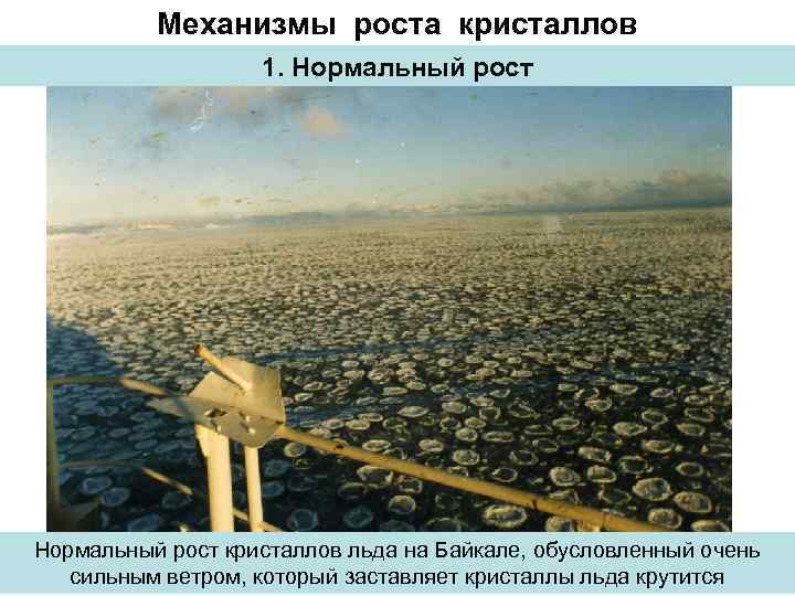 Механизмы роста кристаллов 1. Нормальный рост кристаллов льда на Байкале, обусловленный очень сильным ветром,