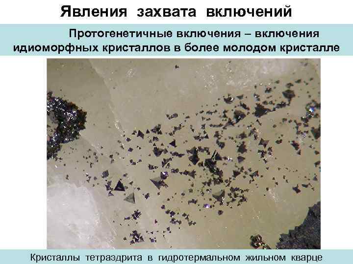 Явления захвата включений Протогенетичные включения – включения идиоморфных кристаллов в более молодом кристалле Кристаллы