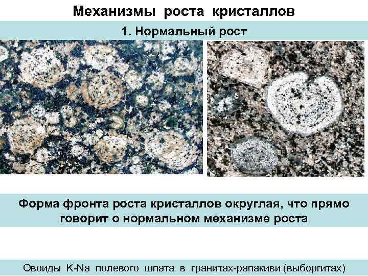 Механизмы роста кристаллов 1. Нормальный рост Форма фронта роста кристаллов округлая, что прямо говорит