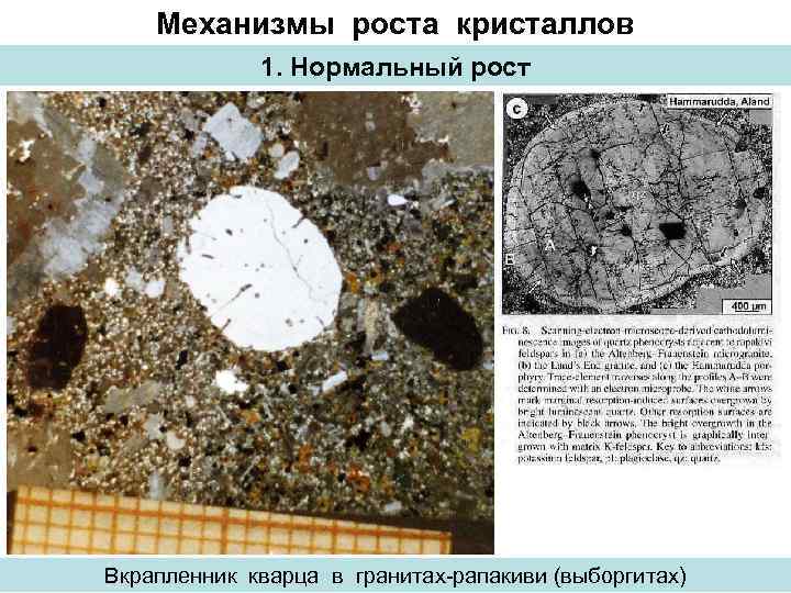 Механизмы роста кристаллов 1. Нормальный рост Вкрапленник кварца в гранитах-рапакиви (выборгитах) 