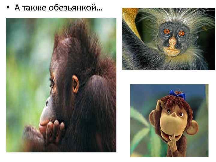  • А также обезьянкой… 