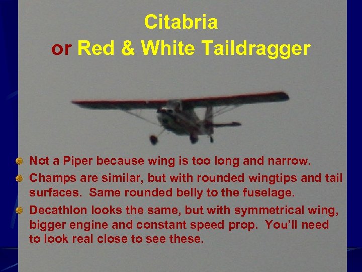 Citabria or Red & White Taildragger Not a Piper because wing is too long