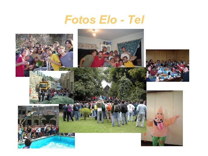 Fotos Elo - Tel 