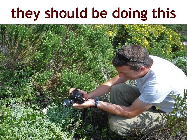 they should be doing this 