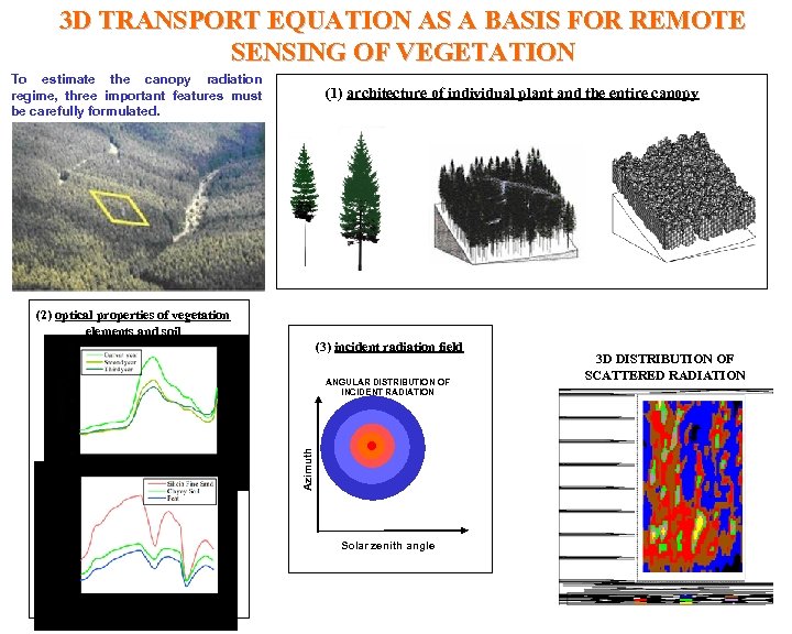 3 D TRANSPORT EQUATION AS A BASIS FOR REMOTE SENSING OF VEGETATION To estimate