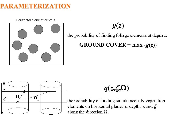 PARAMETERIZATION Horizontal plane at depth z g(z) the probability of finding foliage elements at