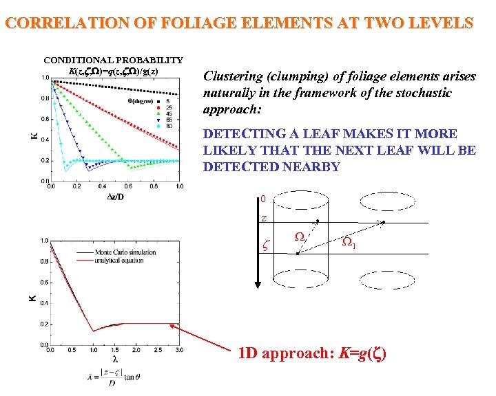 CORRELATION OF FOLIAGE ELEMENTS AT TWO LEVELS CONDITIONAL PROBABILITY K(z, , )=q(z, , )/g(z)