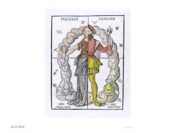 10. 12. 2016 Алексей Ветрюк 